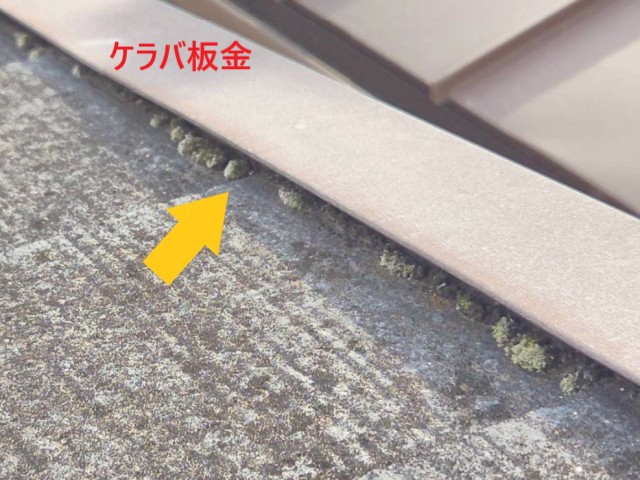 コロニアル　コケが発生2